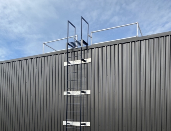 Fixed access ladder with ladderguard guardrail system