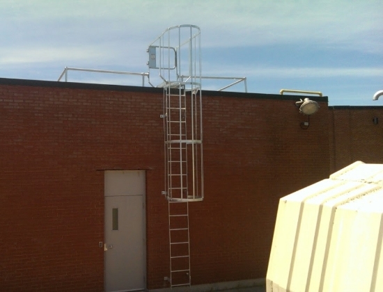 Fixed access ladder with safety cage and ladderguard guardrail system